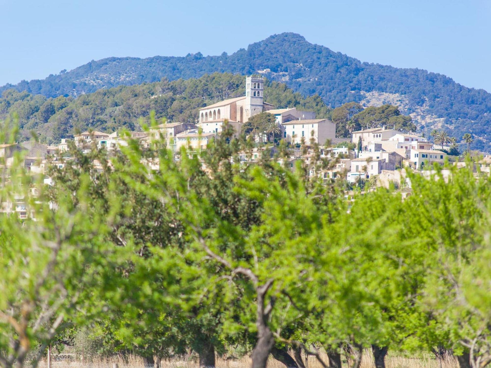 Ses Planes - Adults Only Ca Na Faustina - Ferienhaus *